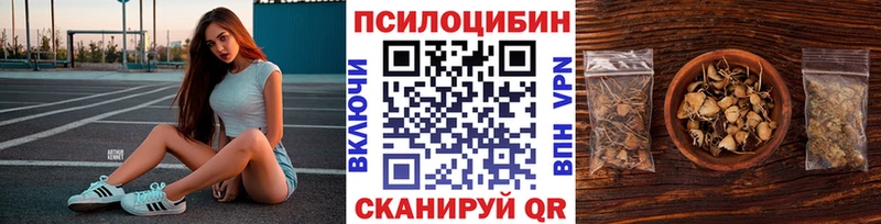 Галлюциногенные грибы GOLDEN TEACHER  наркотики  Шилка 