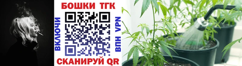 Бошки Шишки план  Шилка 